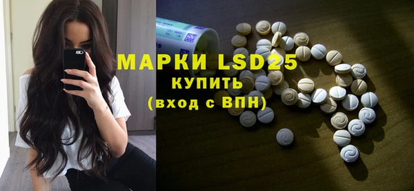 шишки Белокуриха
