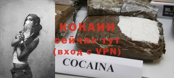 гидра Белоозёрский