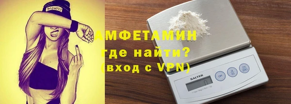 шишки Белокуриха