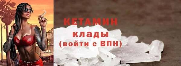 шишки Белокуриха