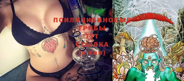 шишки Белокуриха
