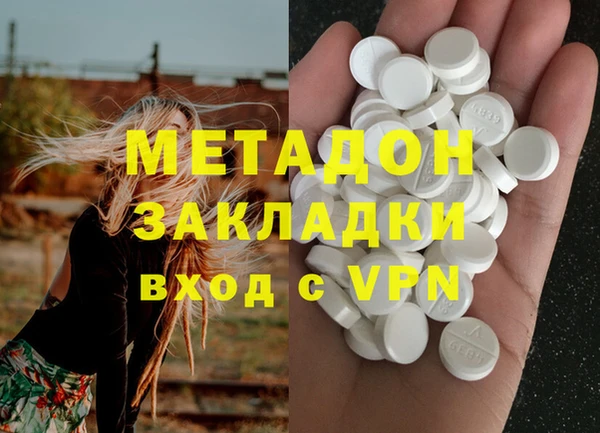 шишки Белокуриха