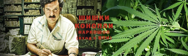 гидра Белоозёрский