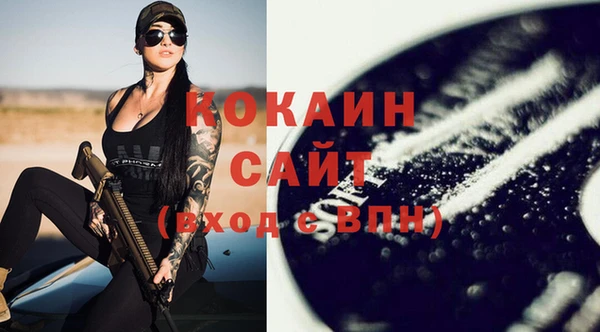 шишки Белокуриха