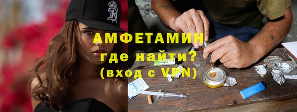 шишки Белокуриха